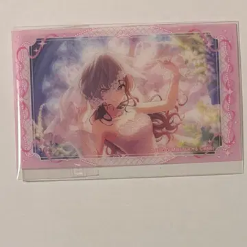 이치노세 시키 클리어 시트 WITH