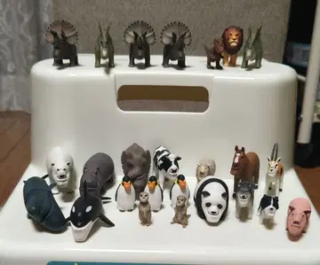 샤크렐 플래닛 25체