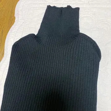 칼리테 리브 터틀