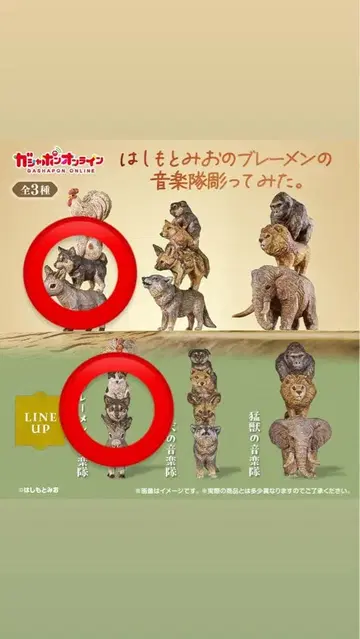 하시모토 미오 브레멘 음악대 가챠