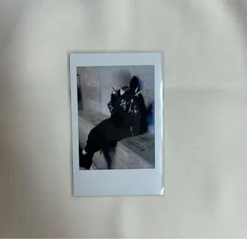 [ 주말 한정 가격 ] AMPTAK 치구사군 실사 얼굴 공개 폴라로이드