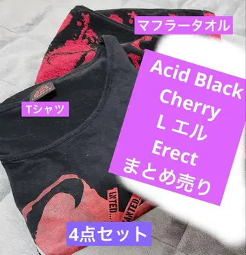 [새상품급] Acid Black Cherry 티셔츠 타월 4종 세트
