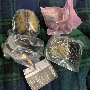 생물대도감 어드밴스 헤라클레스 헤라클레스 가샤폰판