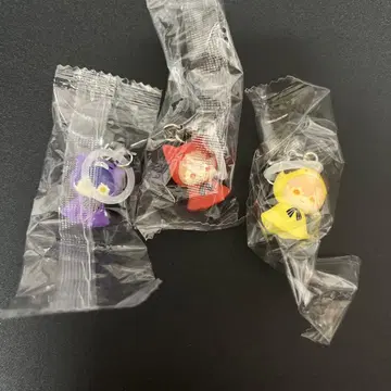 시쿠포니 메지루시 액세서리