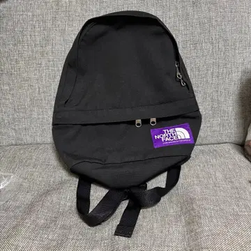 THE NORTH FACE 블랙 백팩 미니