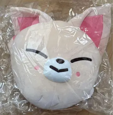 straykids 스키즈 폭시니 Foxl.Ny 쿠션