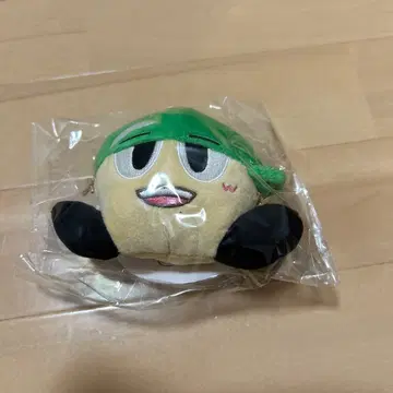 야츠누이 카미야마 카미쨩 그린