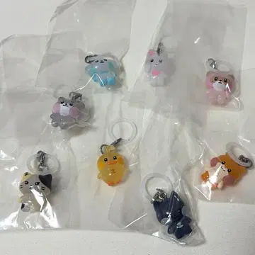 ZB1 zeroni 메지루시 액세서리 8개 세트 튀니니 없음