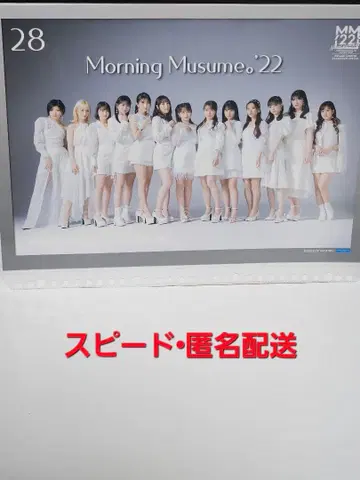 [ 모닝구 무스메. ] 핑포스 모닝구 무스메.'22