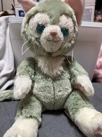 젤라토니 고양이 봉제 인형 그린 컬러