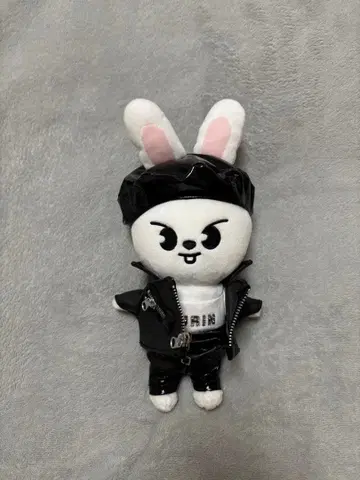 Stray Kids 리빗 오리지널