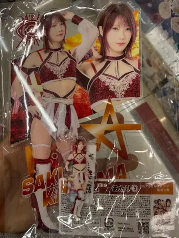 STARDOM 스타덤 복권 당첨 3 BIG 아크릴 스탠드 카시마 사키