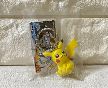 포켓몬 샤이니 컬러 피규어 키링 피카츄 레어 BW