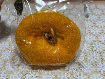 스퀴즈 쪼물쪼물