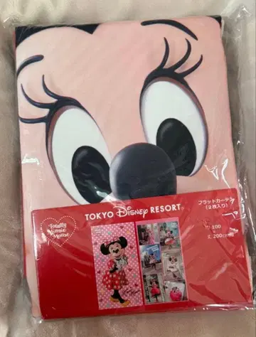 토탈리 미니 마우스 커튼 디즈니