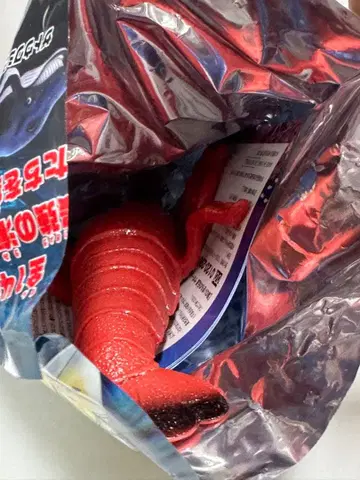 최강 리얼 바다의 생물 랍스터