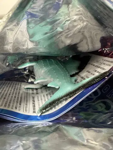 최강 리얼 바다의 생물 돛새치