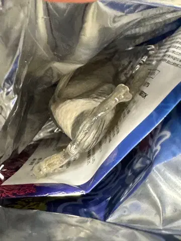 최강 리얼 바다 생물 귀상어