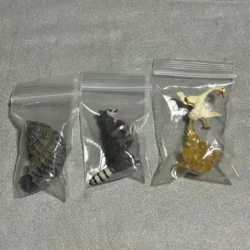 마츠모토 히토시 세계의 진귀한 동물 야도리 니도아라이구마 헤노토리 세트