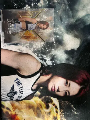 RIZIN 제일복권 케이트 로터스 세트 판매