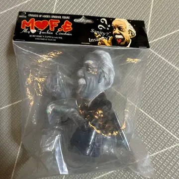 Crowds of Hoods 피규어 My F*ckin Einstein