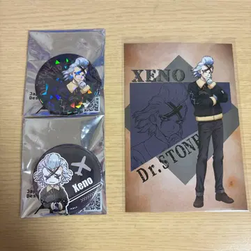 Dr.STONE 플라이트 자켓 제노