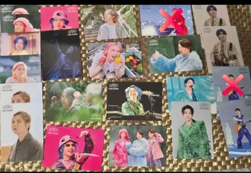 미세스 그린애플 포토 카드