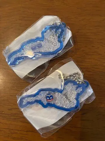 비와코 키링 비와호 키링 레이크스 마그니