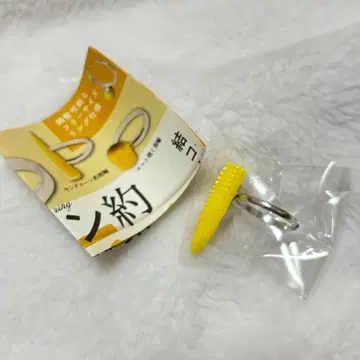 콘 약 반지 영 코 약 반지