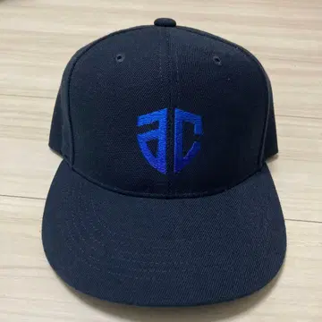 B2 우승 기념 캡