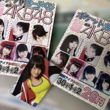 초대 AKB 보물 굿즈 포켓 카드 복권