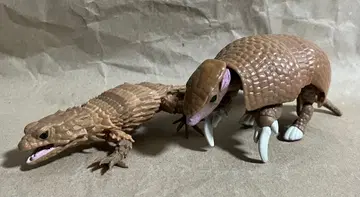 생물대도감 띠무늬아르마딜로 & 아르마딜로도마뱀 세트