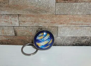 BUMP OF CHICKEN SR 키링