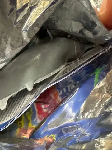 최강 리얼 바다의 생물 오메지라자메