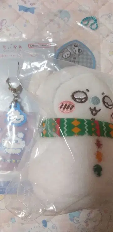 치이카와 모몽가 세트