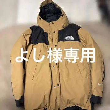 the north face mountain down jacket