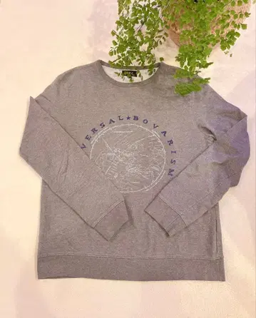 A.P.C. 그레이 트레이닝복 M 사이즈