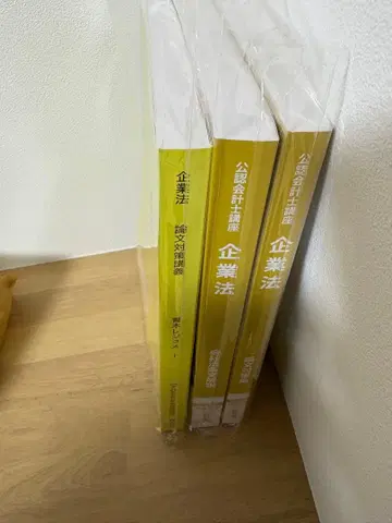 CPA 기업법 논문 대책 레쥬메 논문 대책집