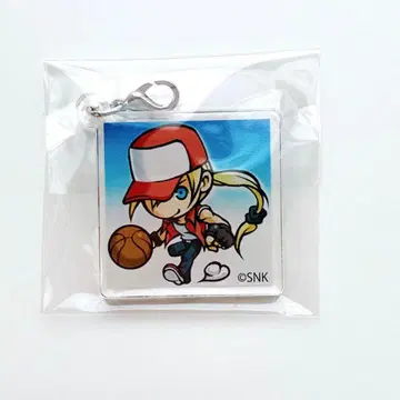 KOF XIII 아크릴 참 테리 BAMBAM GAMEMONSTER