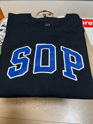 스차다라파 x GAP 콜라보 롱T