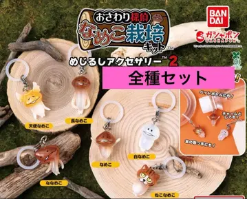 나메코 재배 키트 메지루시 액세서리 2 전 6종 컴플리트 컴프