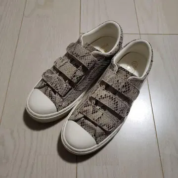 Converse 스네이크 패턴 벨크로 스니커즈