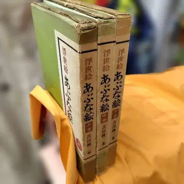 위험한 그림 전 3권 세트 요시다 에이지