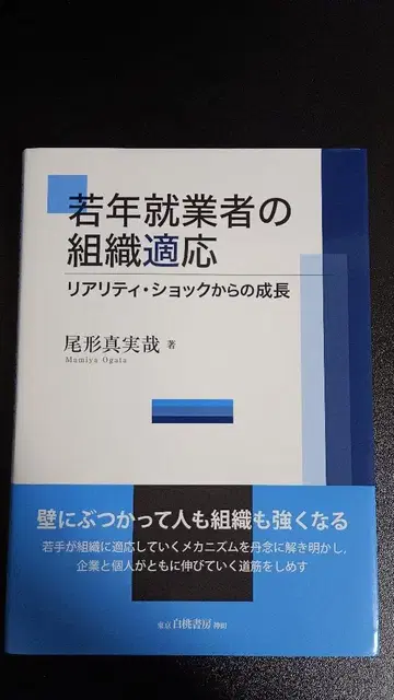 청년 취업자의 조직 적응