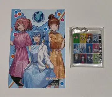 컬러풀 피치 세트 묶음 판매 카라피치 카라피치