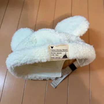 도쿄 디즈니 리조트 미키 보아캡