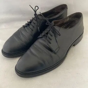 자랑스리 와야 다이나이트 솔