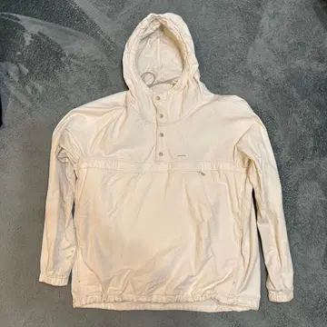 Patagonia 하프 버튼 후디