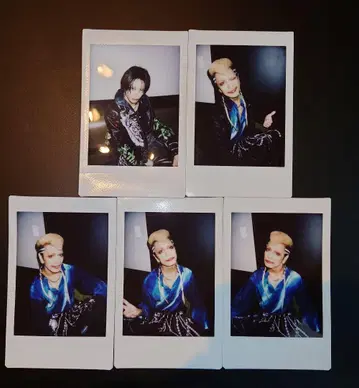 달콤한 폭력 폴라로이드