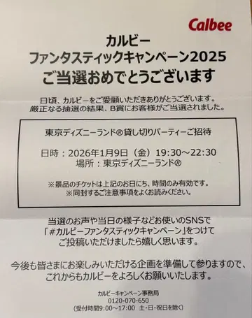 디즈니랜드 대관 2025